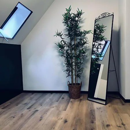 Vechtelust Geraeumig & Zentrumsnah Nordhorn